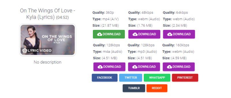 從 PasteDownload 下載 VK 影片
